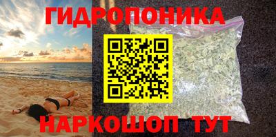 стафф Камышлов