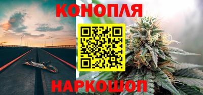 стафф Камышлов